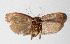  ( - 14-SRNP-31158)  @13 [ ] CreativeCommons  Attribution Non-Commercial Share-Alike (2016) Unspecified Guanacaste Dry Forest Conservation Fund