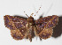  ( - 14-SRNP-31386)  @14 [ ] CreativeCommons  Attribution Non-Commercial Share-Alike (2016) Unspecified Guanacaste Dry Forest Conservation Fund