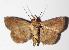  ( - 14-SRNP-31386)  @13 [ ] CreativeCommons  Attribution Non-Commercial Share-Alike (2016) Unspecified Guanacaste Dry Forest Conservation Fund
