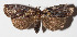  ( - 14-SRNP-31397)  @14 [ ] CreativeCommons  Attribution Non-Commercial Share-Alike (2016) Unspecified Guanacaste Dry Forest Conservation Fund