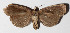  ( - 14-SRNP-31397)  @13 [ ] CreativeCommons  Attribution Non-Commercial Share-Alike (2016) Unspecified Guanacaste Dry Forest Conservation Fund