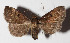  ( - 14-SRNP-31600)  @14 [ ] CreativeCommons  Attribution Non-Commercial Share-Alike (2016) Unspecified Guanacaste Dry Forest Conservation Fund