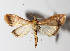 ( - 14-SRNP-31671)  @14 [ ] CreativeCommons  Attribution Non-Commercial Share-Alike (2016) Unspecified Guanacaste Dry Forest Conservation Fund