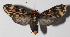  ( - 14-SRNP-31801)  @14 [ ] CreativeCommons  Attribution Non-Commercial Share-Alike (2016) Unspecified Guanacaste Dry Forest Conservation Fund