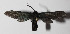  ( - 14-SRNP-3400)  @12 [ ] CreativeCommons  Attribution Non-Commercial Share-Alike (2016) Unspecified Guanacaste Dry Forest Conservation Fund
