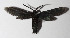  ( - 14-SRNP-3403)  @12 [ ] CreativeCommons  Attribution Non-Commercial Share-Alike (2016) Unspecified Guanacaste Dry Forest Conservation Fund