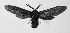  ( - 14-SRNP-3408)  @12 [ ] CreativeCommons  Attribution Non-Commercial Share-Alike (2016) Unspecified Guanacaste Dry Forest Conservation Fund