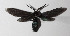 ( - 14-SRNP-3420)  @12 [ ] CreativeCommons  Attribution Non-Commercial Share-Alike (2016) Unspecified Guanacaste Dry Forest Conservation Fund