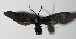  ( - 14-SRNP-3421)  @12 [ ] CreativeCommons  Attribution Non-Commercial Share-Alike (2016) Unspecified Guanacaste Dry Forest Conservation Fund