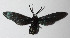  ( - 14-SRNP-3421)  @12 [ ] CreativeCommons  Attribution Non-Commercial Share-Alike (2016) Unspecified Guanacaste Dry Forest Conservation Fund