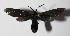  ( - 14-SRNP-3427)  @12 [ ] CreativeCommons  Attribution Non-Commercial Share-Alike (2016) Unspecified Guanacaste Dry Forest Conservation Fund