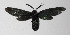  ( - 14-SRNP-3427)  @12 [ ] CreativeCommons  Attribution Non-Commercial Share-Alike (2016) Unspecified Guanacaste Dry Forest Conservation Fund