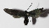 ( - 14-SRNP-3428)  @12 [ ] CreativeCommons  Attribution Non-Commercial Share-Alike (2016) Unspecified Guanacaste Dry Forest Conservation Fund