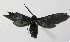  ( - 14-SRNP-3428)  @12 [ ] CreativeCommons  Attribution Non-Commercial Share-Alike (2016) Unspecified Guanacaste Dry Forest Conservation Fund