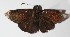  ( - 14-SRNP-3554)  @14 [ ] CreativeCommons  Attribution Non-Commercial Share-Alike (2016) Unspecified Guanacaste Dry Forest Conservation Fund