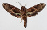  ( - 14-SRNP-3794)  @14 [ ] CreativeCommons  Attribution Non-Commercial Share-Alike (2016) Unspecified Guanacaste Dry Forest Conservation Fund