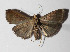  ( - 14-SRNP-4218)  @13 [ ] CreativeCommons  Attribution Non-Commercial Share-Alike (2016) Unspecified Guanacaste Dry Forest Conservation Fund