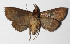 ( - 14-SRNP-43567)  @13 [ ] CreativeCommons  Attribution Non-Commercial Share-Alike (2016) Unspecified Guanacaste Dry Forest Conservation Fund
