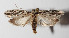  ( - 14-SRNP-43834)  @14 [ ] CreativeCommons  Attribution Non-Commercial Share-Alike (2016) Unspecified Guanacaste Dry Forest Conservation Fund