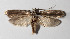  ( - 14-SRNP-43834)  @14 [ ] CreativeCommons  Attribution Non-Commercial Share-Alike (2016) Unspecified Guanacaste Dry Forest Conservation Fund