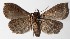 ( - 14-SRNP-43861)  @13 [ ] CreativeCommons  Attribution Non-Commercial Share-Alike (2016) Unspecified Guanacaste Dry Forest Conservation Fund