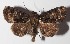  ( - 14-SRNP-43966)  @14 [ ] CreativeCommons  Attribution Non-Commercial Share-Alike (2016) Unspecified Guanacaste Dry Forest Conservation Fund