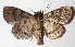  ( - 14-SRNP-43966)  @14 [ ] CreativeCommons  Attribution Non-Commercial Share-Alike (2016) Unspecified Guanacaste Dry Forest Conservation Fund