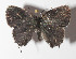  ( - 14-SRNP-44235)  @13 [ ] CreativeCommons  Attribution Non-Commercial Share-Alike (2016) Unspecified Guanacaste Dry Forest Conservation Fund
