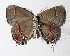  ( - 14-SRNP-44235)  @13 [ ] CreativeCommons  Attribution Non-Commercial Share-Alike (2016) Unspecified Guanacaste Dry Forest Conservation Fund
