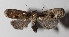  ( - 14-SRNP-44389)  @14 [ ] CreativeCommons  Attribution Non-Commercial Share-Alike (2016) Unspecified Guanacaste Dry Forest Conservation Fund