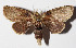  ( - 14-SRNP-4568)  @14 [ ] CreativeCommons  Attribution Non-Commercial Share-Alike (2016) Unspecified Guanacaste Dry Forest Conservation Fund