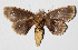  ( - 14-SRNP-4568)  @14 [ ] CreativeCommons  Attribution Non-Commercial Share-Alike (2016) Unspecified Guanacaste Dry Forest Conservation Fund