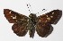  ( - 14-SRNP-46159)  @13 [ ] CreativeCommons  Attribution Non-Commercial Share-Alike (2016) Unspecified Guanacaste Dry Forest Conservation Fund