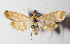  ( - 14-SRNP-46524)  @14 [ ] CreativeCommons  Attribution Non-Commercial Share-Alike (2016) Unspecified Guanacaste Dry Forest Conservation Fund