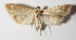  ( - 14-SRNP-46529)  @14 [ ] CreativeCommons  Attribution Non-Commercial Share-Alike (2016) Unspecified Guanacaste Dry Forest Conservation Fund