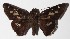  ( - 14-SRNP-46605)  @13 [ ] CreativeCommons  Attribution Non-Commercial Share-Alike (2016) Unspecified Guanacaste Dry Forest Conservation Fund