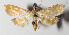  ( - 14-SRNP-46606)  @14 [ ] CreativeCommons  Attribution Non-Commercial Share-Alike (2016) Unspecified Guanacaste Dry Forest Conservation Fund