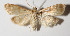  ( - 14-SRNP-46606)  @14 [ ] CreativeCommons  Attribution Non-Commercial Share-Alike (2016) Unspecified Guanacaste Dry Forest Conservation Fund