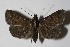  ( - 14-SRNP-4681)  @14 [ ] CreativeCommons  Attribution Non-Commercial Share-Alike (2016) Unspecified Guanacaste Dry Forest Conservation Fund
