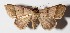  ( - 14-SRNP-46924)  @14 [ ] CreativeCommons  Attribution Non-Commercial Share-Alike (2016) Unspecified Guanacaste Dry Forest Conservation Fund