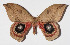  ( - 14-SRNP-47374)  @14 [ ] CreativeCommons  Attribution Non-Commercial Share-Alike (2016) Unspecified Guanacaste Dry Forest Conservation Fund