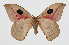  ( - 14-SRNP-47374)  @14 [ ] CreativeCommons  Attribution Non-Commercial Share-Alike (2016) Unspecified Guanacaste Dry Forest Conservation Fund