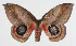  ( - 14-SRNP-47378)  @14 [ ] CreativeCommons  Attribution Non-Commercial Share-Alike (2016) Unspecified Guanacaste Dry Forest Conservation Fund