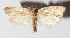 ( - 14-SRNP-47433)  @14 [ ] CreativeCommons  Attribution Non-Commercial Share-Alike (2016) Unspecified Guanacaste Dry Forest Conservation Fund