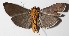  ( - 14-SRNP-47545)  @13 [ ] CreativeCommons  Attribution Non-Commercial Share-Alike (2016) Unspecified Guanacaste Dry Forest Conservation Fund