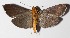  ( - 14-SRNP-47546)  @13 [ ] CreativeCommons  Attribution Non-Commercial Share-Alike (2016) Unspecified Guanacaste Dry Forest Conservation Fund
