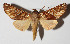  ( - 14-SRNP-47861)  @14 [ ] CreativeCommons  Attribution Non-Commercial Share-Alike (2016) Unspecified Guanacaste Dry Forest Conservation Fund