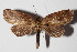  ( - 14-SRNP-47929)  @13 [ ] CreativeCommons  Attribution Non-Commercial Share-Alike (2016) Unspecified Guanacaste Dry Forest Conservation Fund