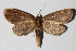  ( - 14-SRNP-47929)  @13 [ ] CreativeCommons  Attribution Non-Commercial Share-Alike (2016) Unspecified Guanacaste Dry Forest Conservation Fund