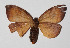  ( - 14-SRNP-4854)  @13 [ ] CreativeCommons  Attribution Non-Commercial Share-Alike (2016) Unspecified Guanacaste Dry Forest Conservation Fund